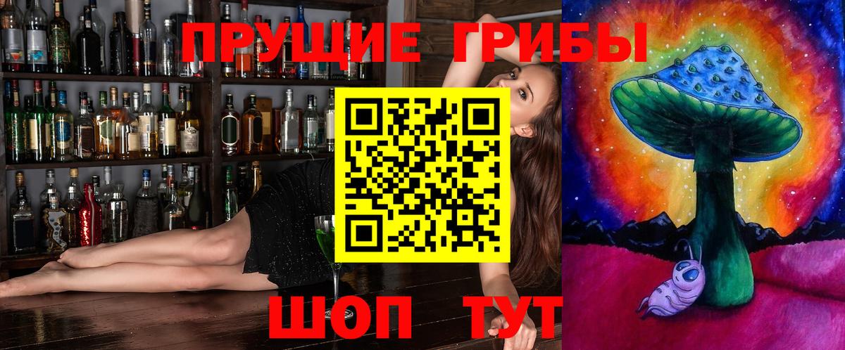 Псилоцибиновые грибы Cubensis Сергиев Посад